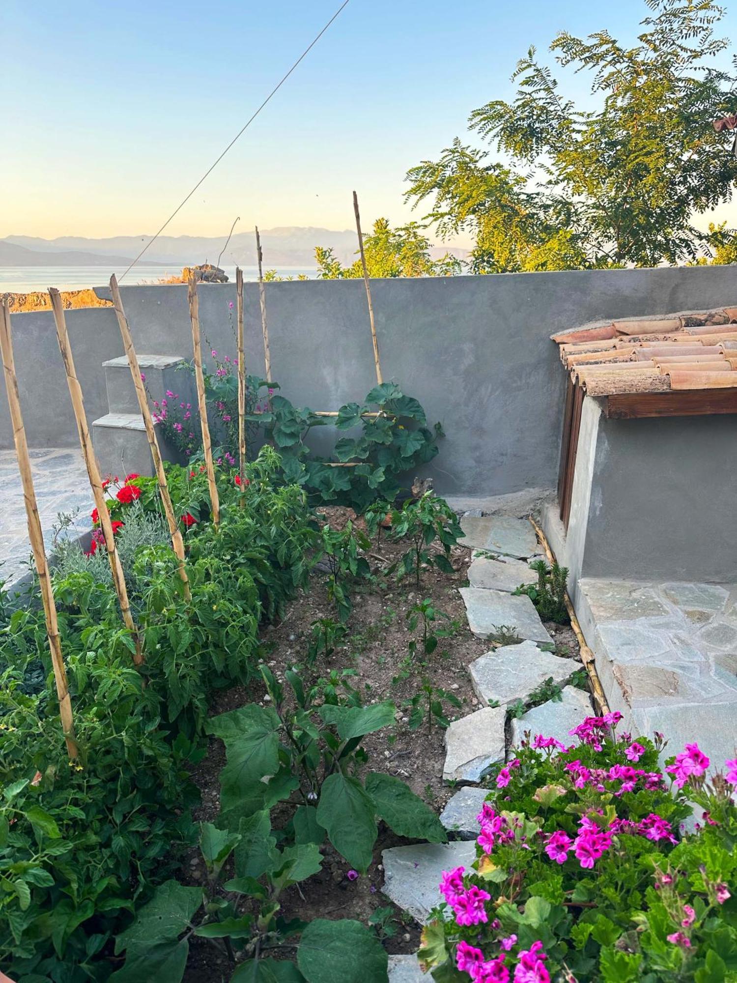 Fteri Stone House In Platanos, Akrata Apartment Bagian luar foto